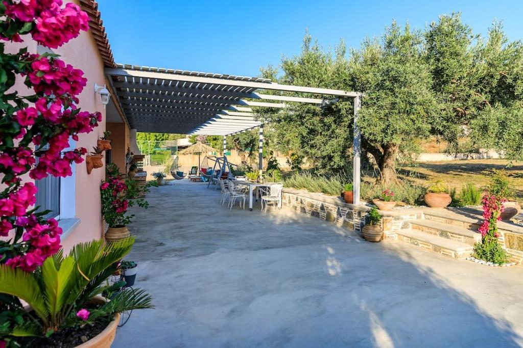 Skopelos Blue Heaven Pool Villa In Olive Grove Luaran gambar
